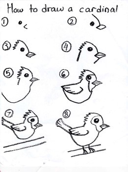 Dibujos de Cardenal detallado