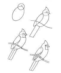 Dibujos de Cardenal elegante