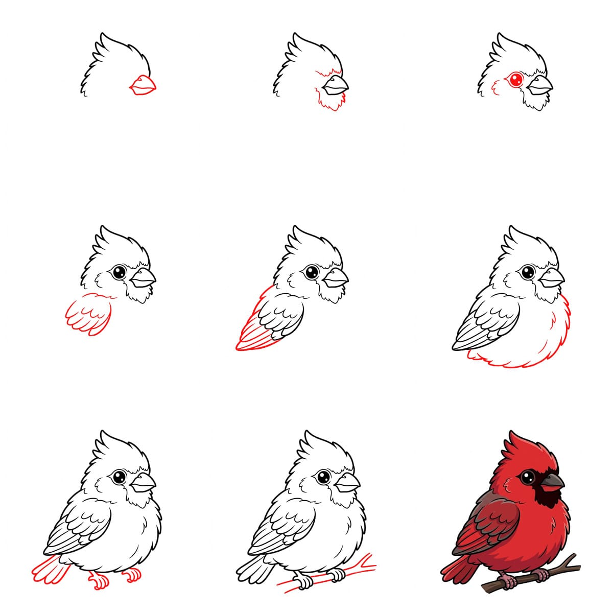 Dibujos de Cardenal en el bosque