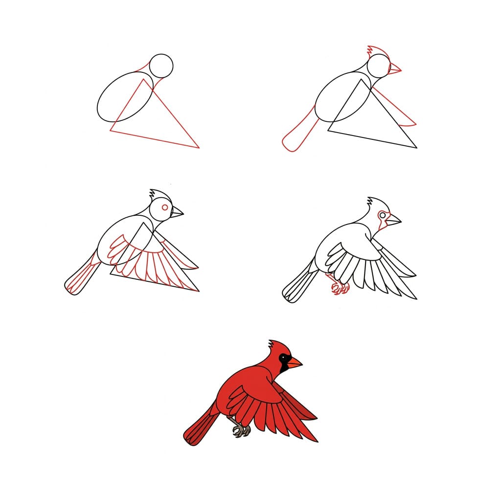 Dibujos de Cardenal en una rama