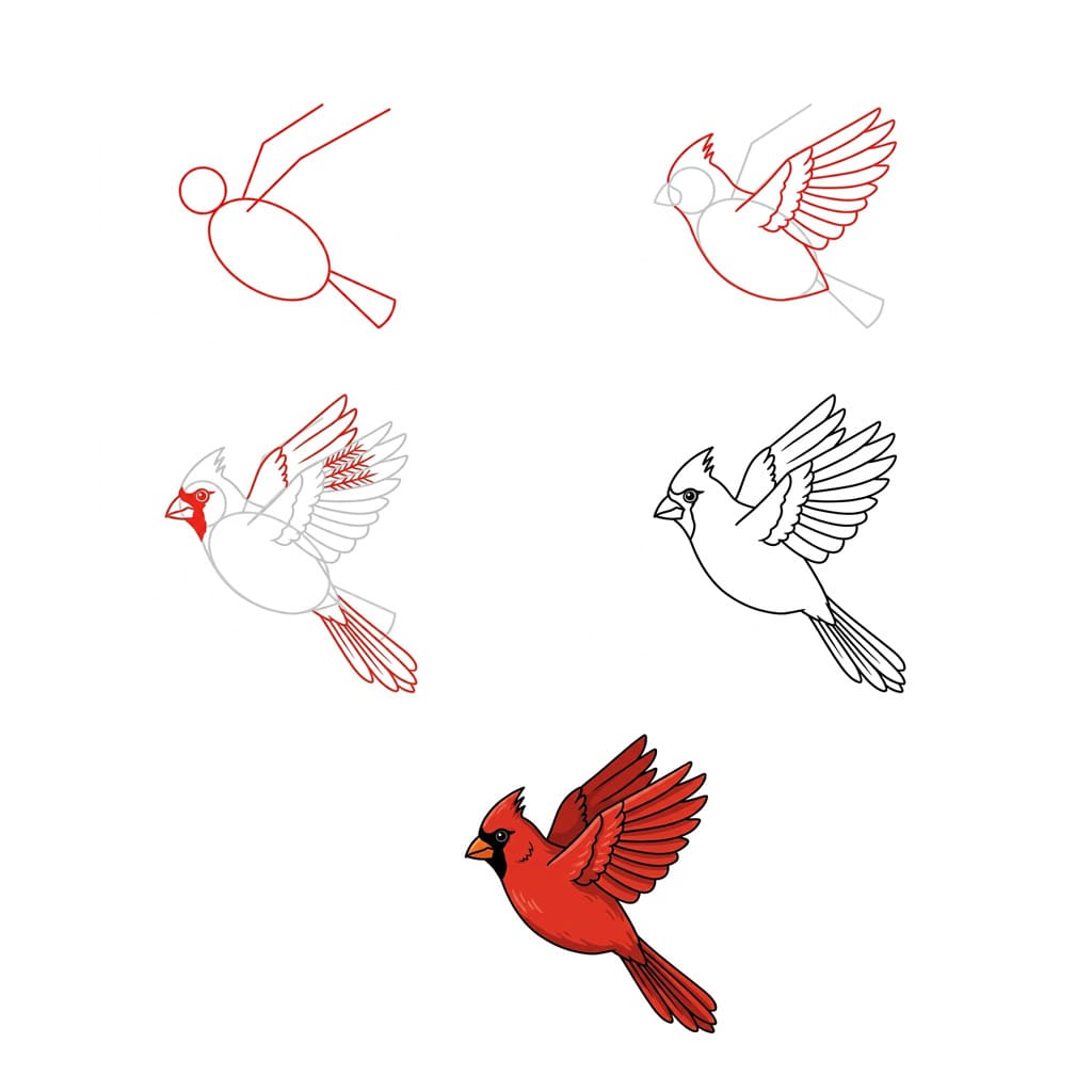 Dibujos de Cardenal hembra