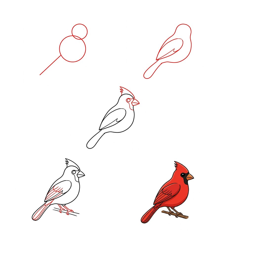 Dibujos de Cardenal juvenil