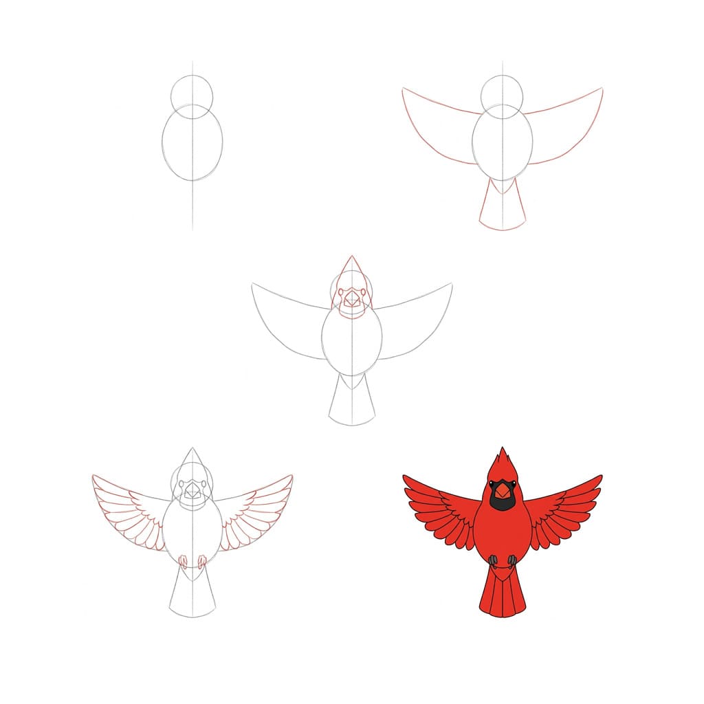 Dibujos de Cardenal kawaii