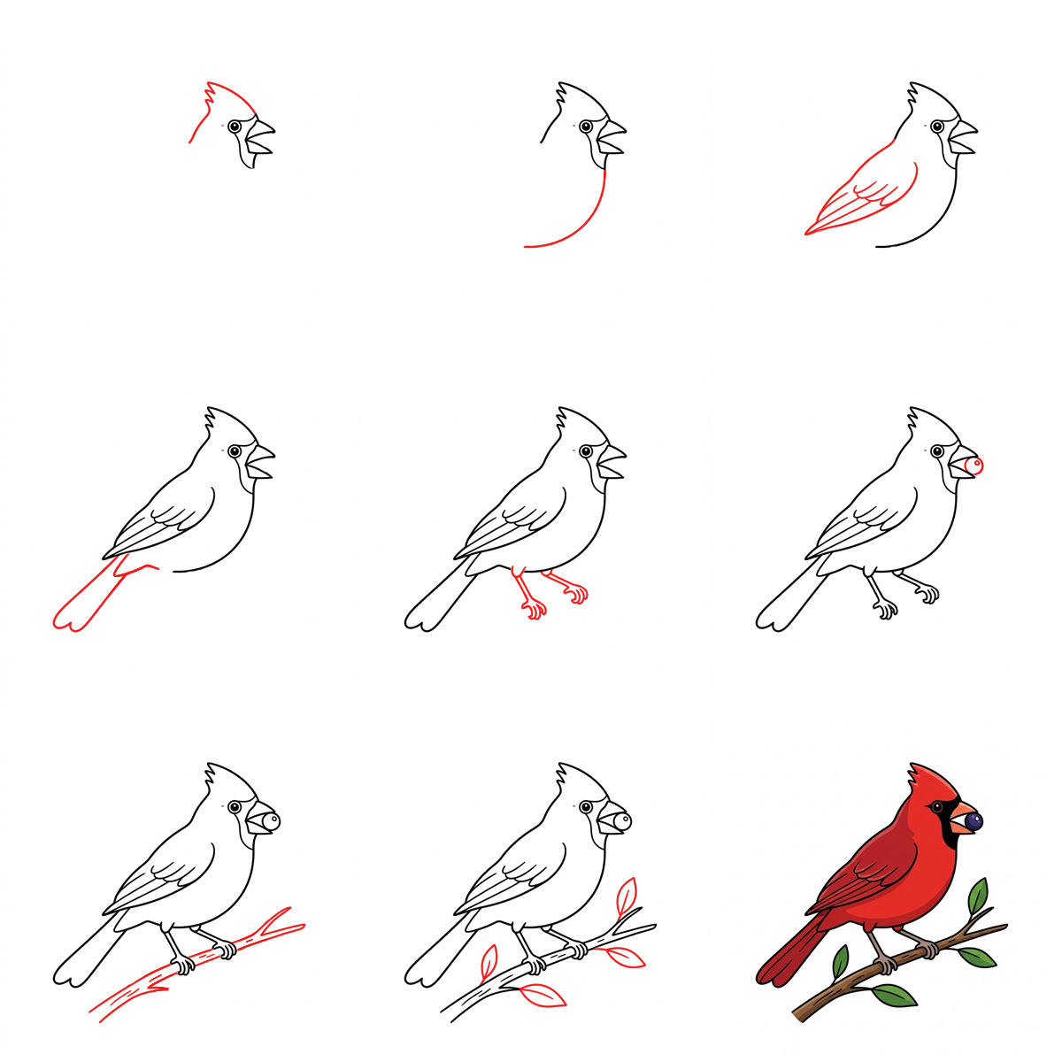 Dibujos de Cardenal norteño