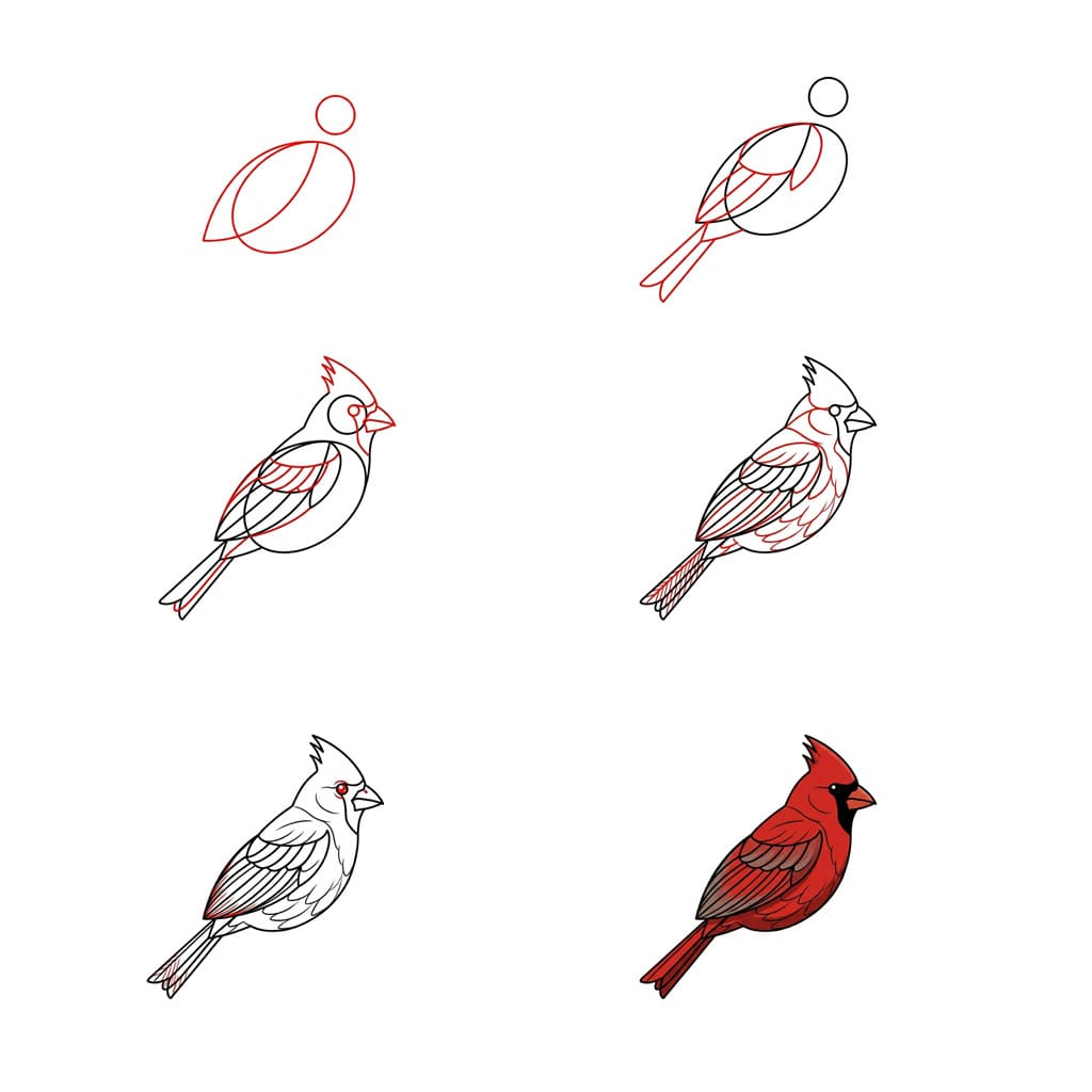 Dibujos de Cardenal posado