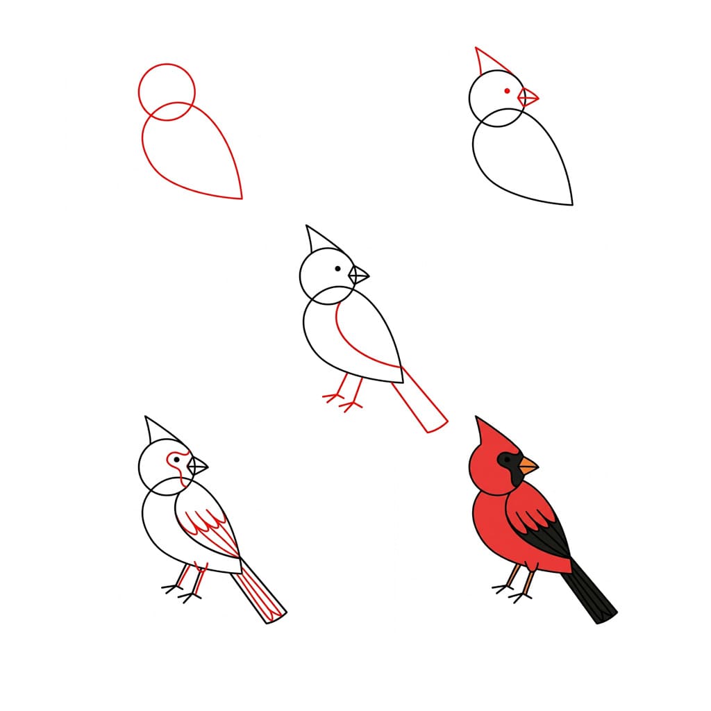 Dibujos de Cardenal realista