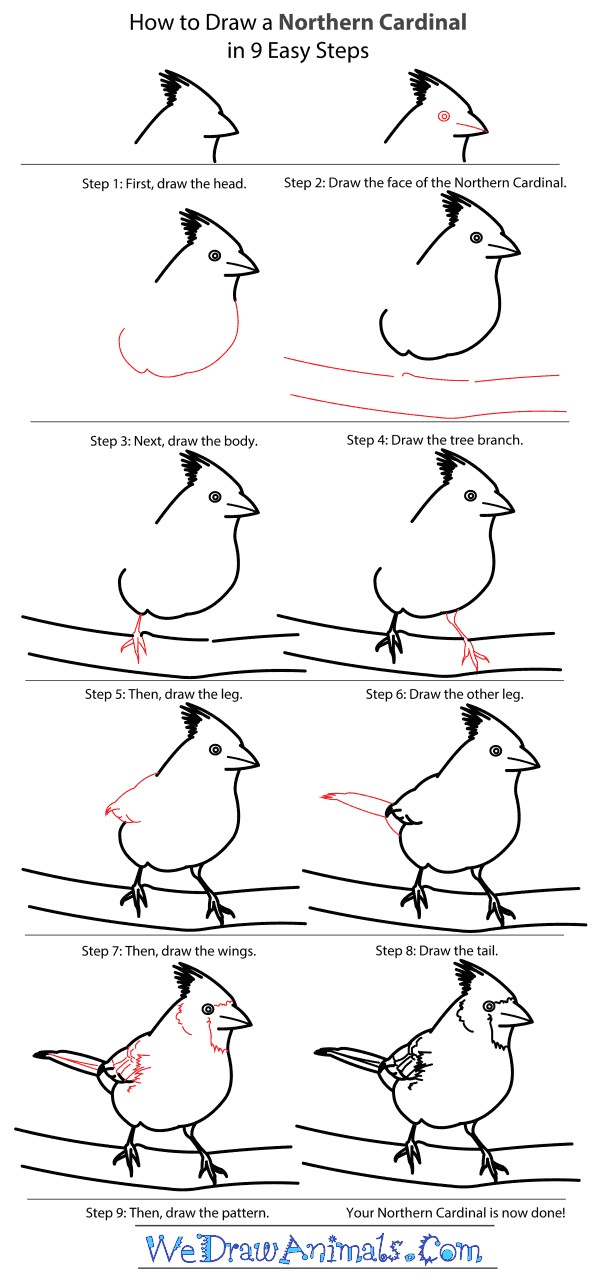 Dibujos de Cardenal silvestre