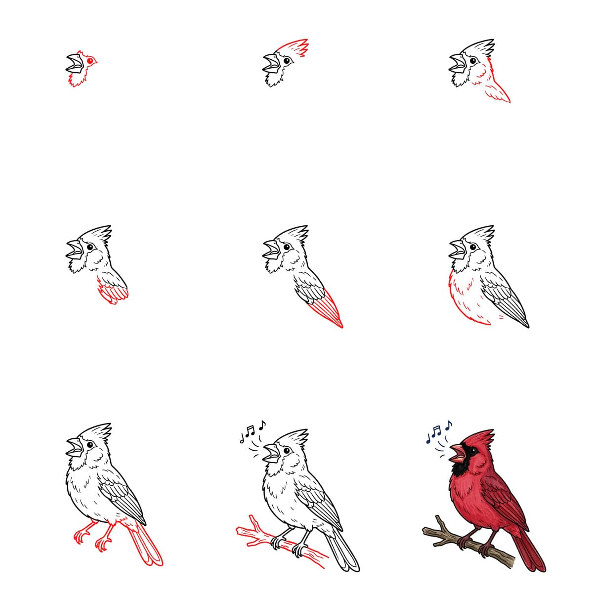 Dibujos de Cardenal volando