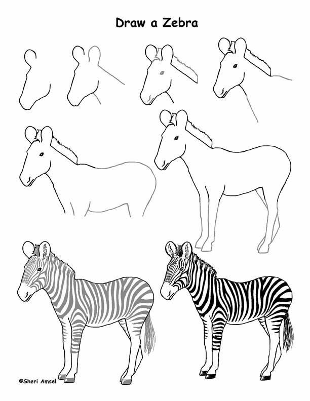 Dibujos de Cebras