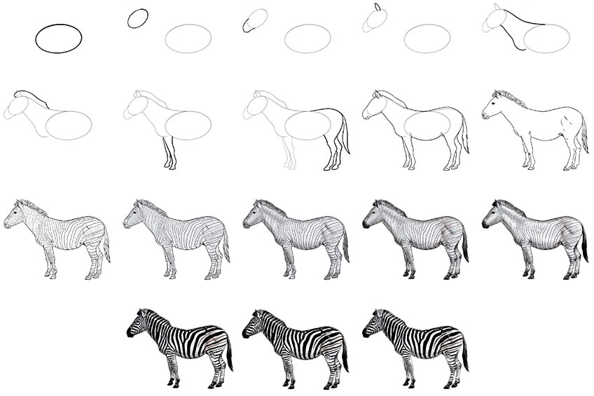 Dibujos de Cebra realista