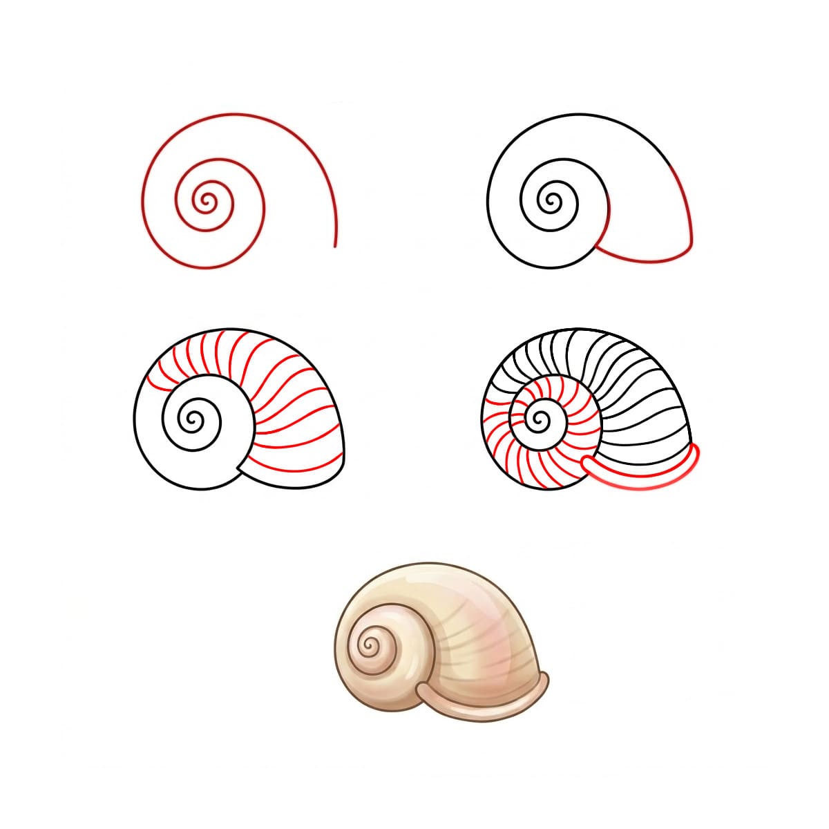 Dibujos de Concha abierta