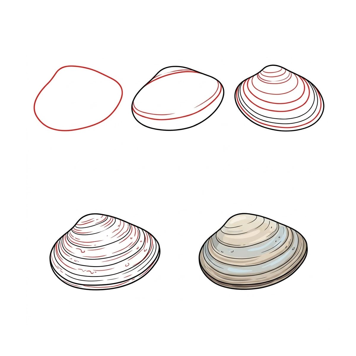 Dibujos de Concha de vieira
