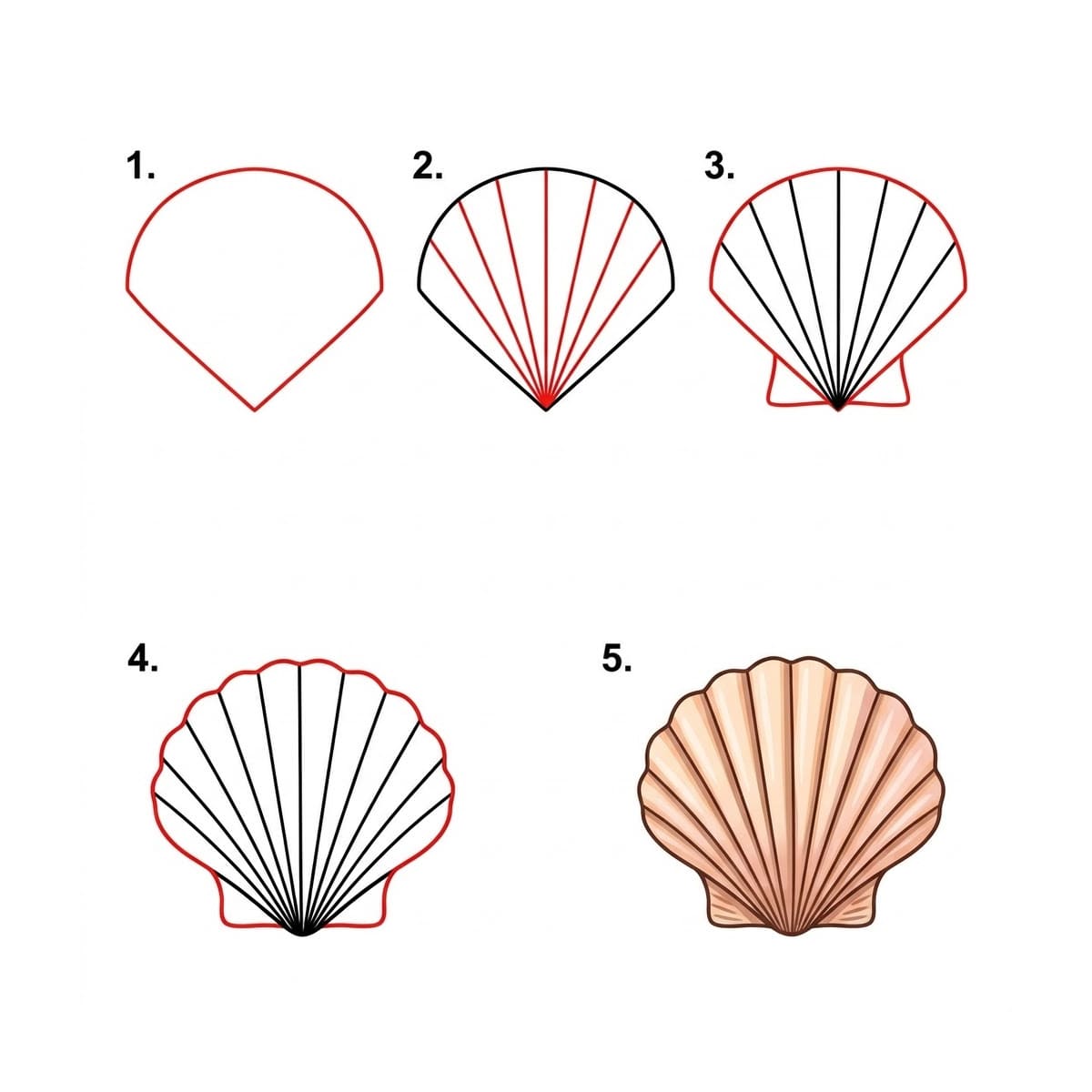 Dibujos de Concha del océano