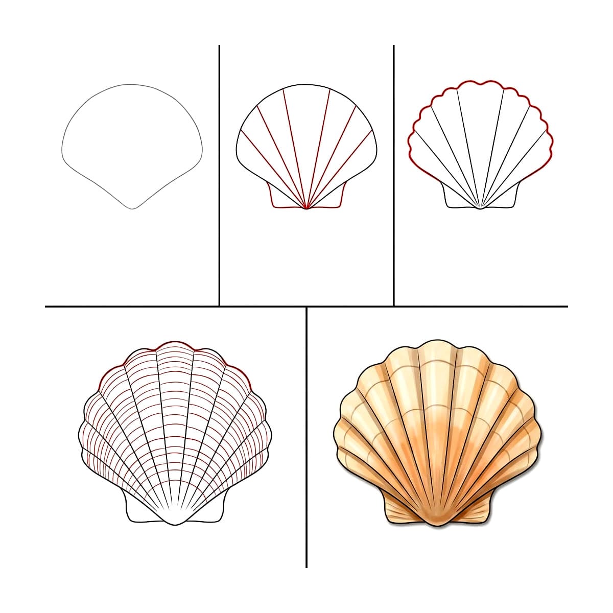 Dibujos de Concha espiral