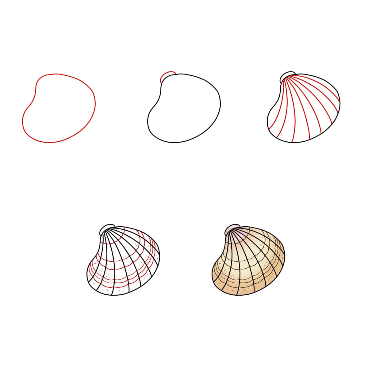 Dibujos de Concha marina detallada