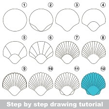 Dibujos de Concha pequeña