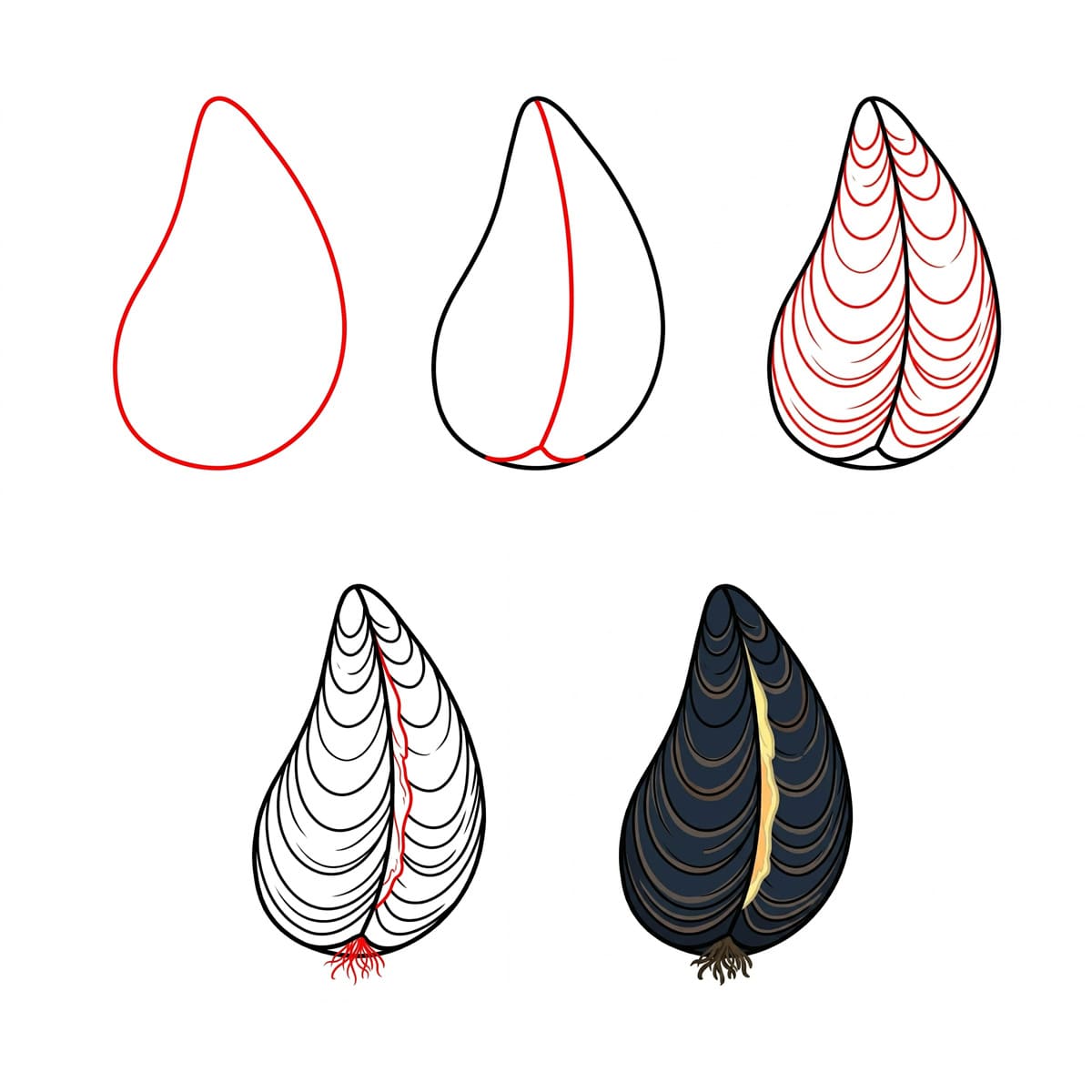 Dibujos de Concha realista