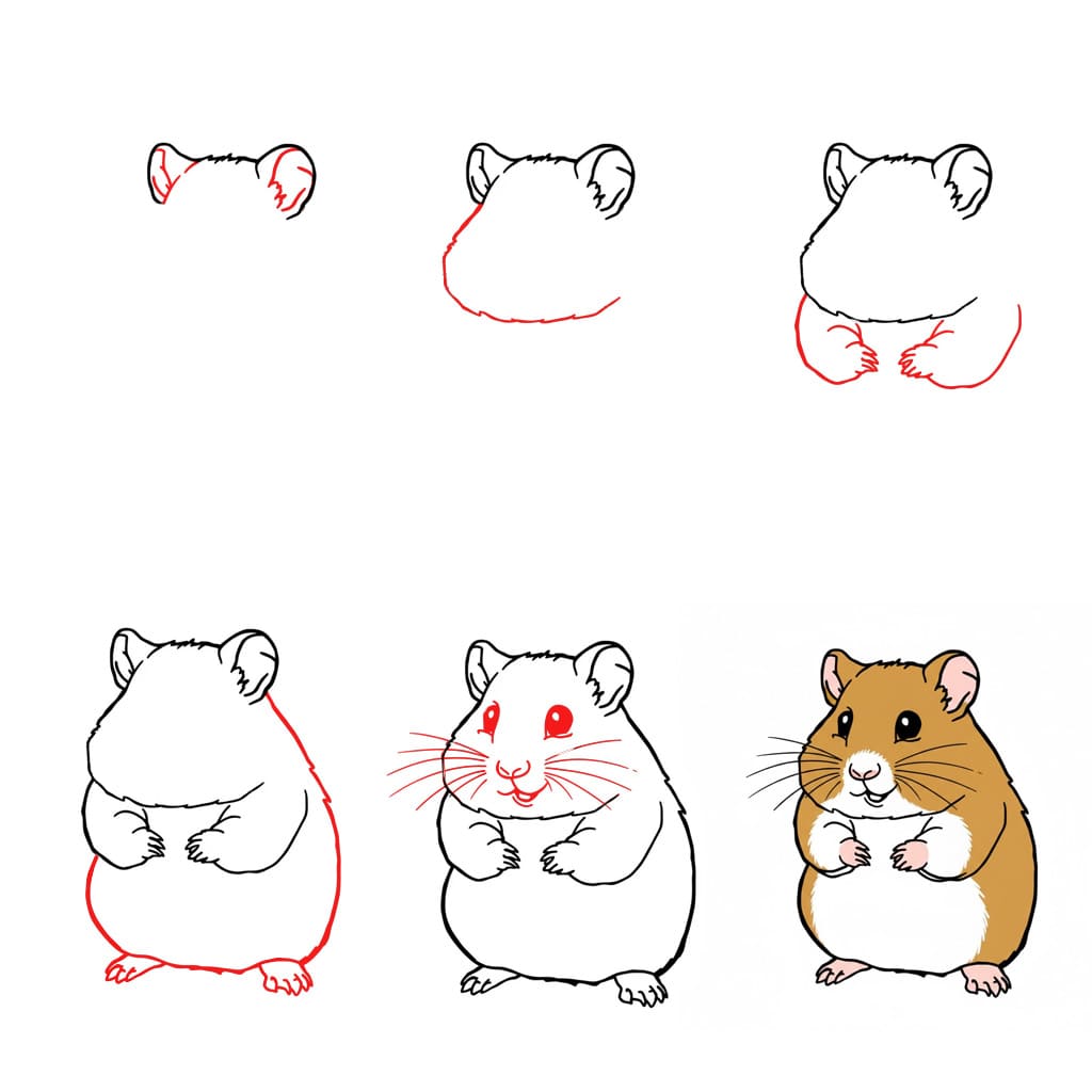 Dibujos de Hámster realista