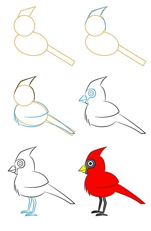 Dibujos de Cardenales
