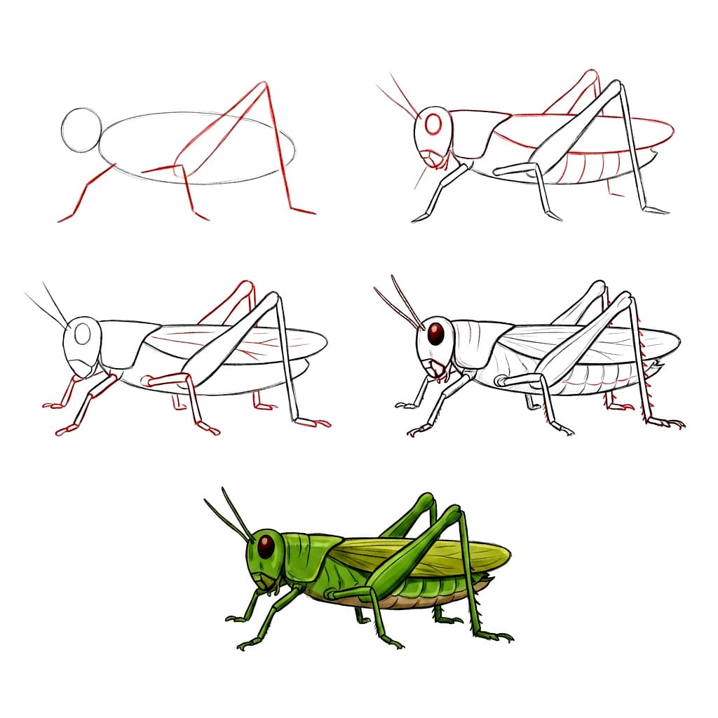 Dibujos de Saltamontes chibi