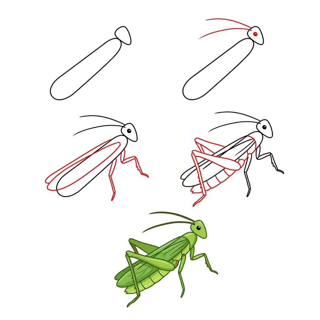 Dibujos de Saltamontes colorido