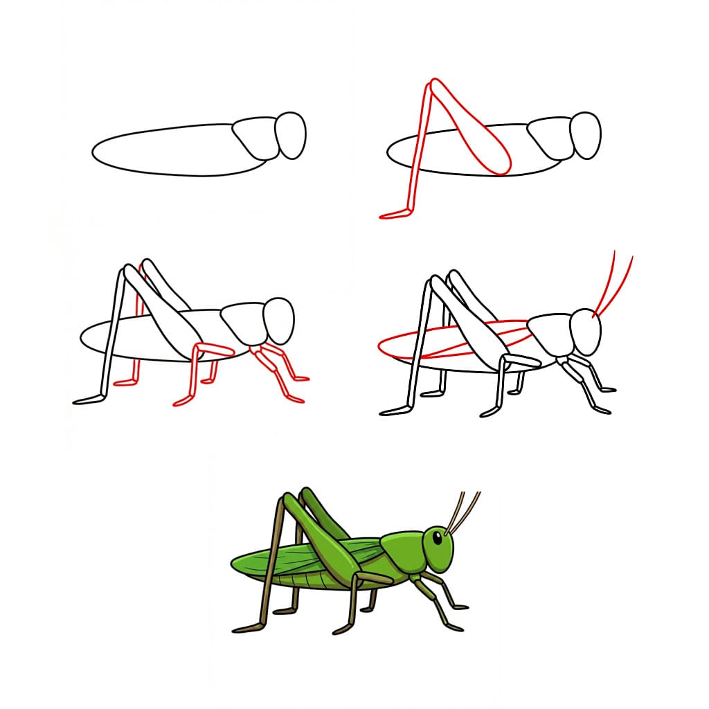 Dibujos de Saltamontes curioso