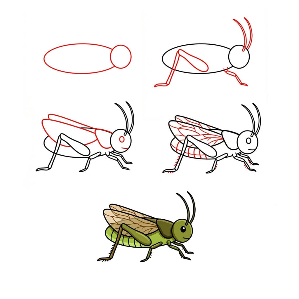 Dibujos de Saltamontes de perfil