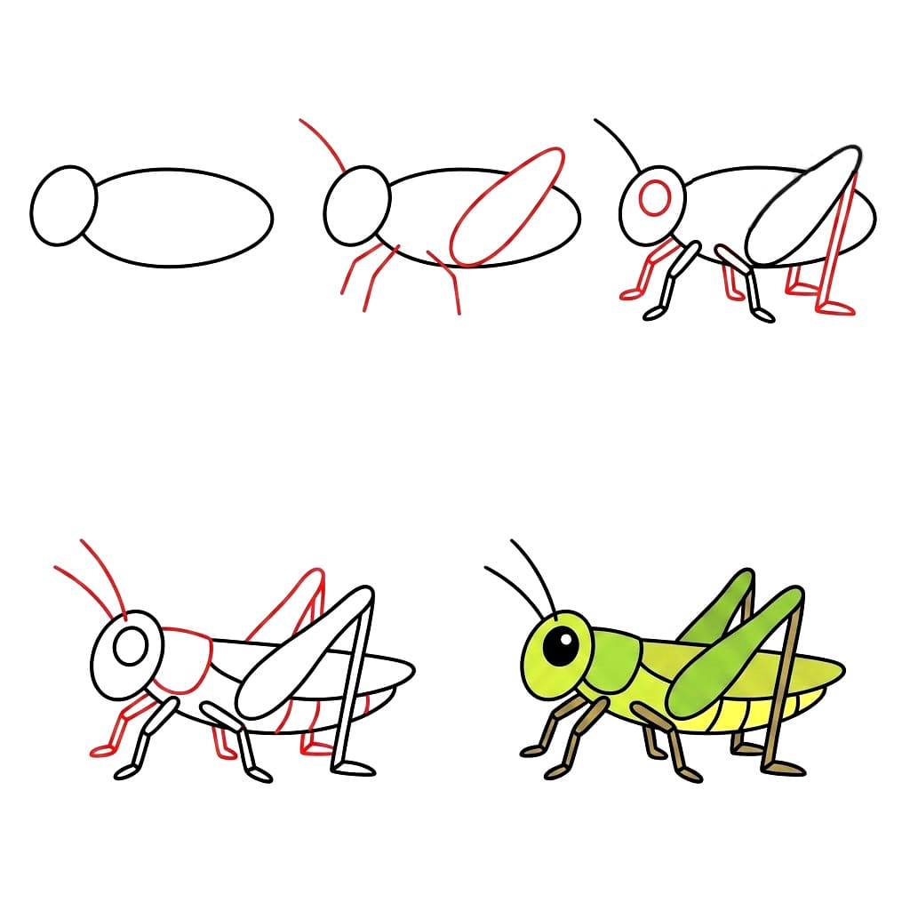 Dibujos de Saltamontes del campo