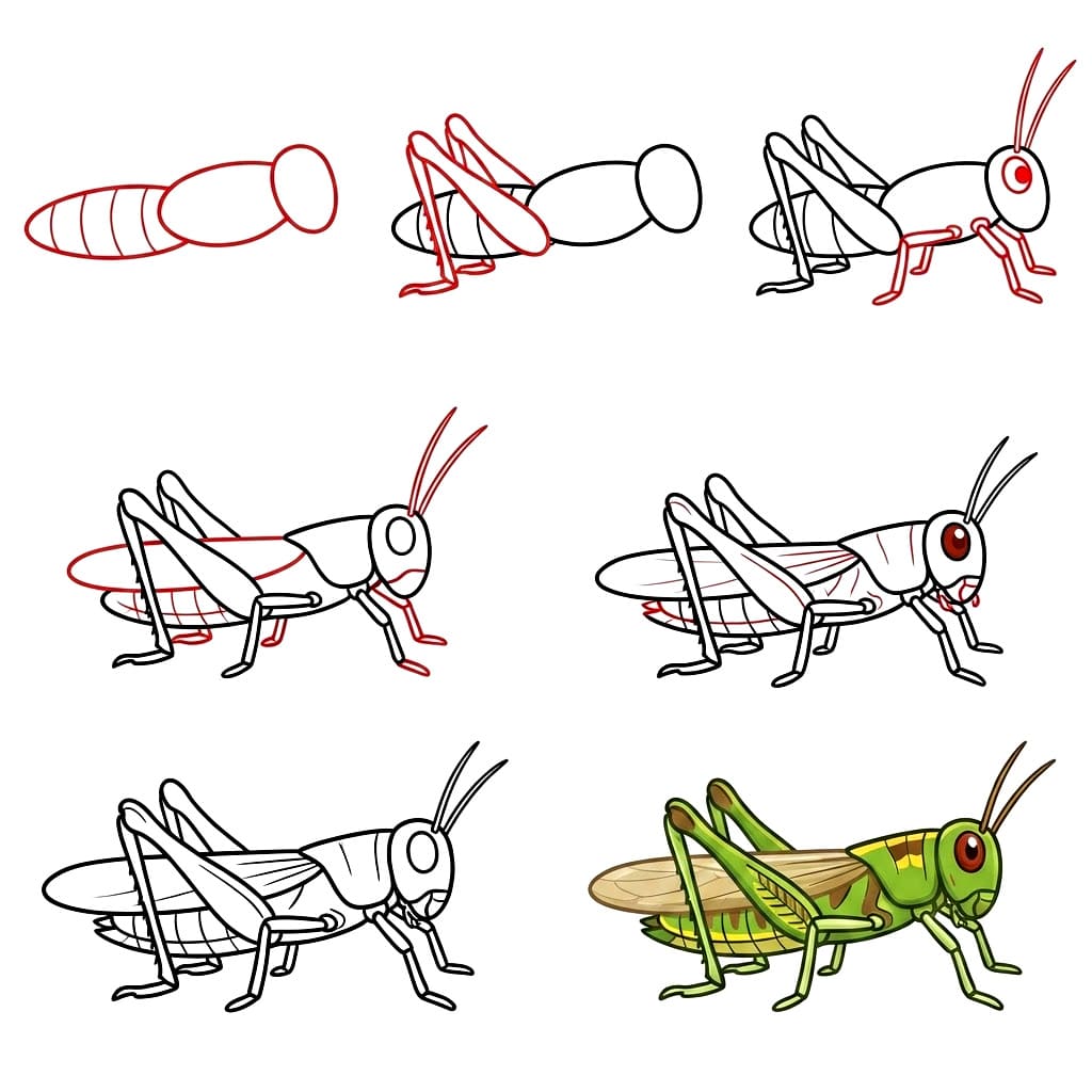 Dibujos de Saltamontes en el jardín