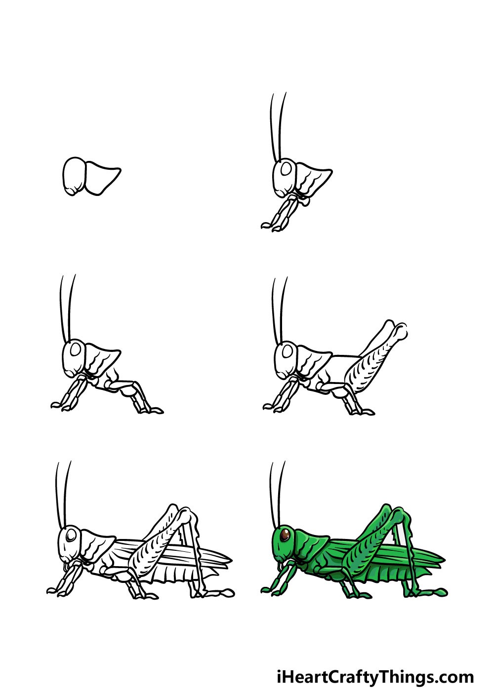 Dibujos de Saltamontes marrón