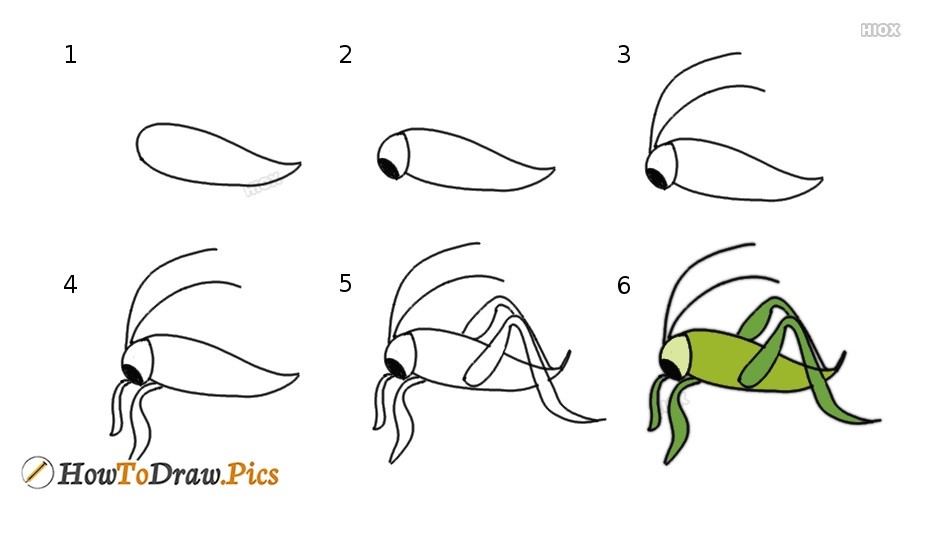 Dibujos de Saltamontes pequeño