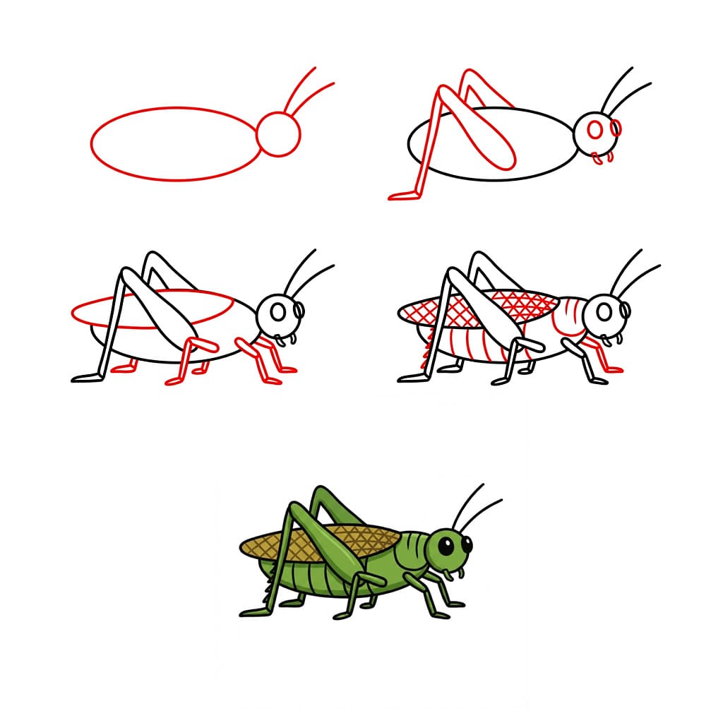 Dibujos de Saltamontes realista