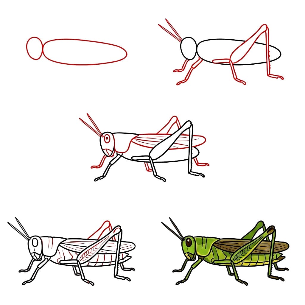 Dibujos de Saltamontes silvestre