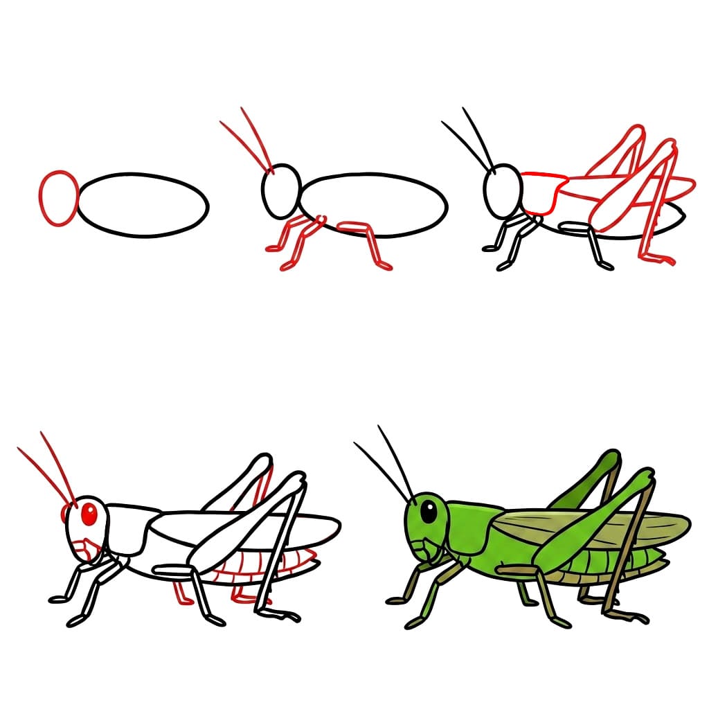 Dibujos de Saltamontes sonriente