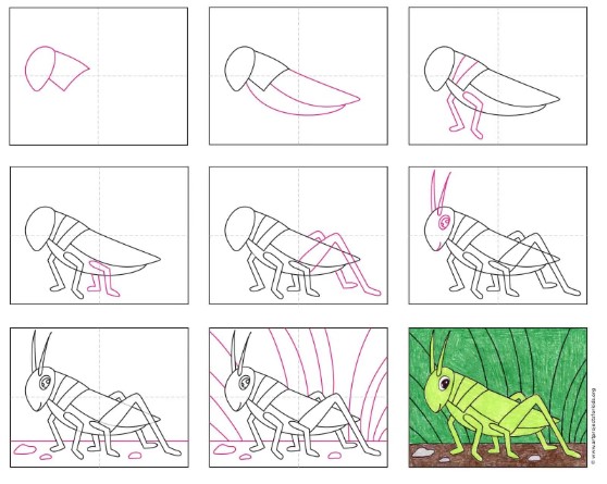 Dibujos de Saltamontes verde