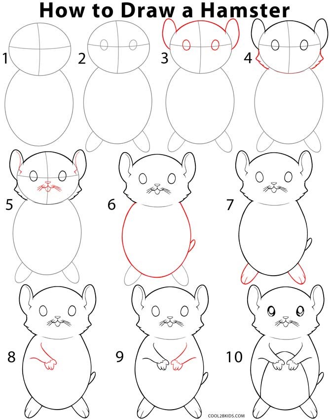 Dibujos de Hámster blanco