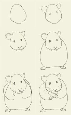 Dibujos de Hámster doméstico