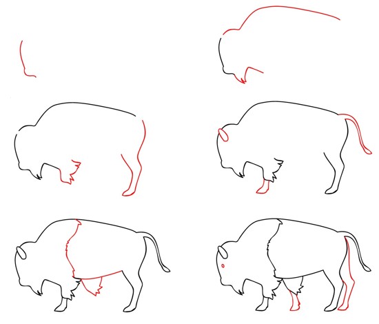Dibujos de Búfalo adulto