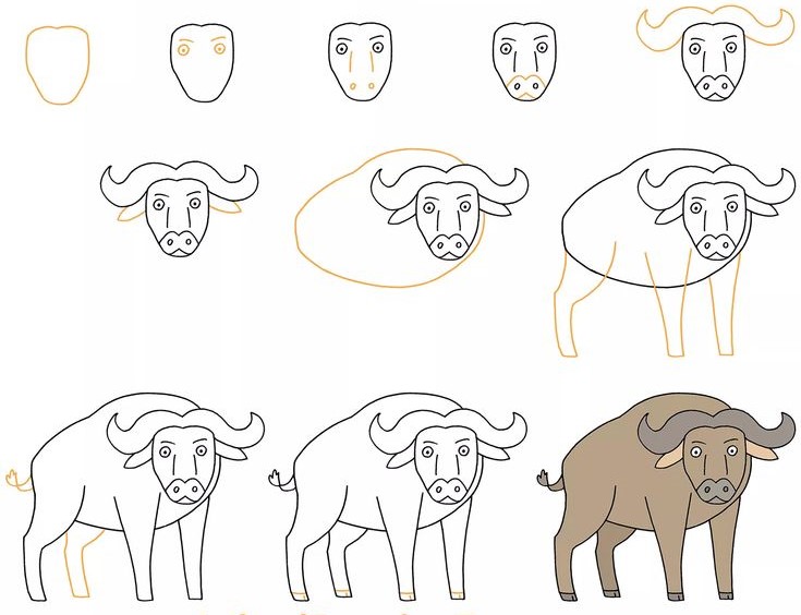 Dibujos de Búfalo americano