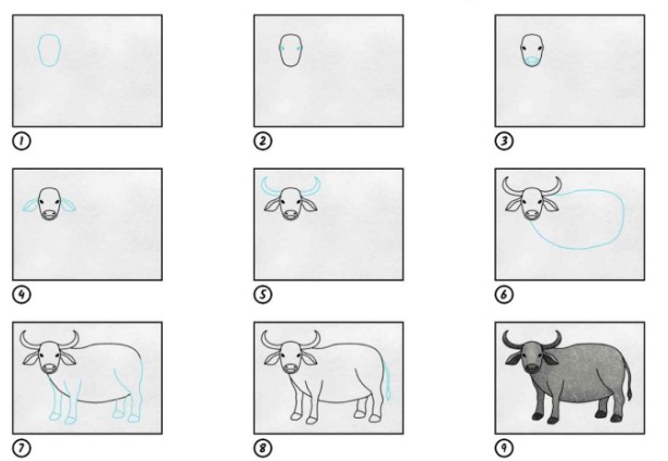 Dibujos de Búfalo con cuernos