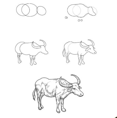 Dibujos de Búfalo detallado