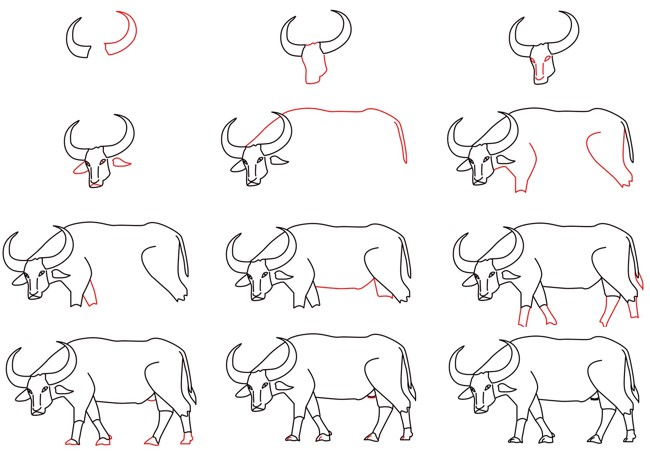 Dibujos de Búfalo en el campo