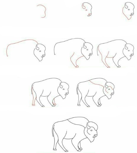 Dibujos de Búfalo fuerte