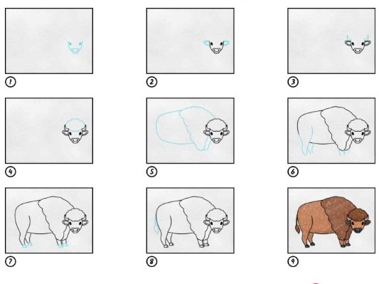 Dibujos de Búfalo majestuoso