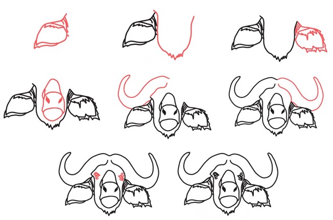 Dibujos de Búfalo pastando
