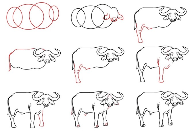 Dibujos de Búfalo poderoso