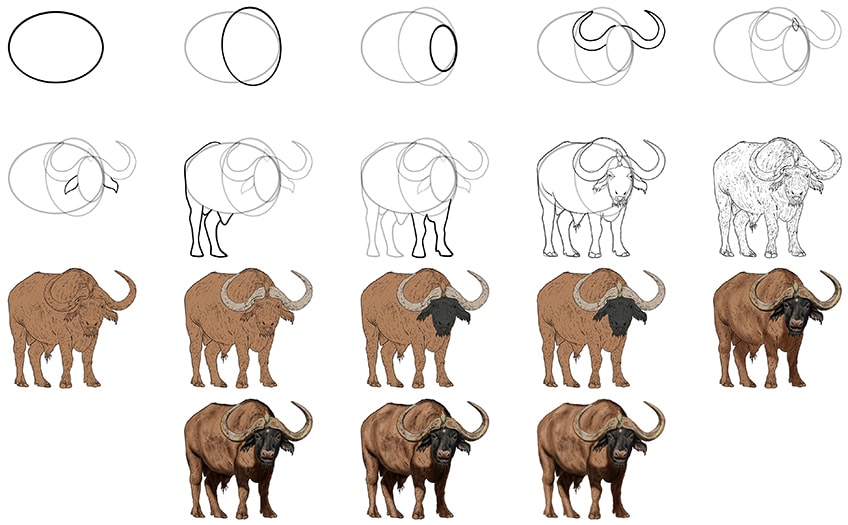 Dibujos de Búfalo silvestre