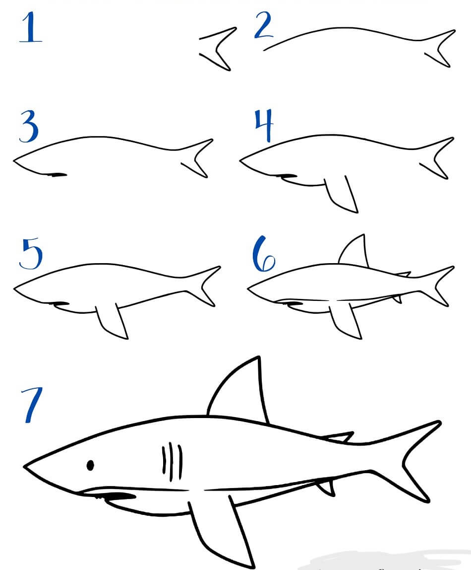 Dibujos de Tiburón blanco