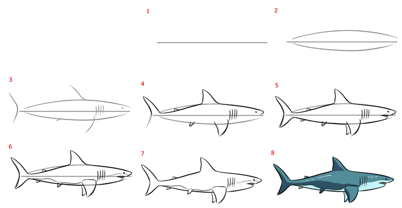 Dibujos de Tiburón nodriza