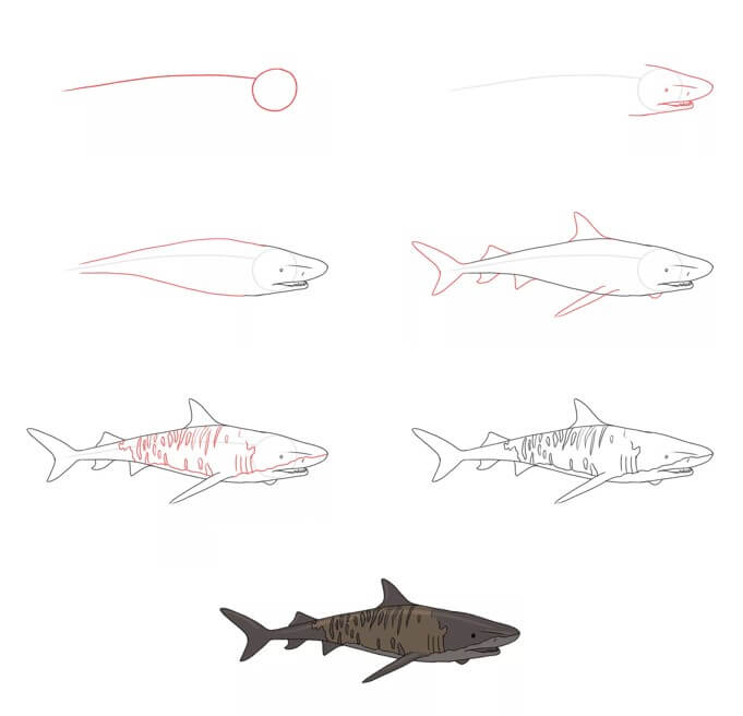 Dibujos de Tiburón prehistórico